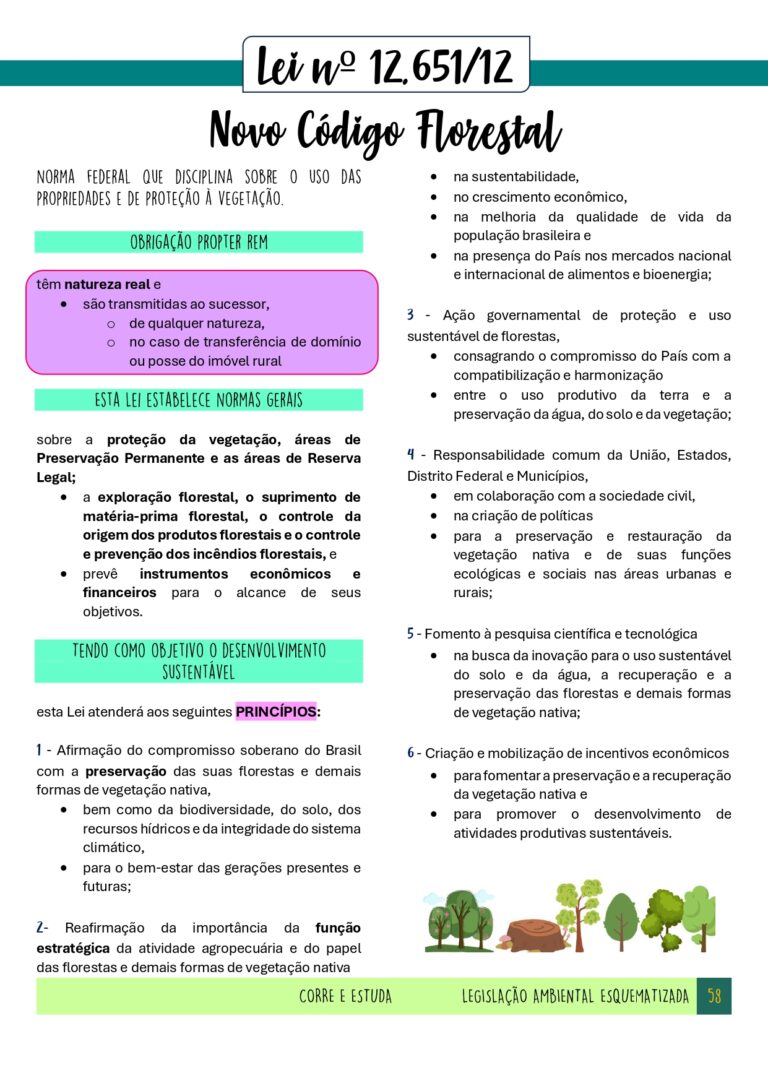 Legislação Ambiental Esquematizada CORRE E ESTUDA-58_page-0001