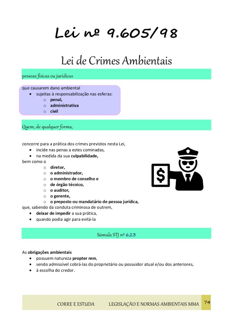 Resumo Legislação ambiental MMA ESQUEMATIZADA-74_page-0001