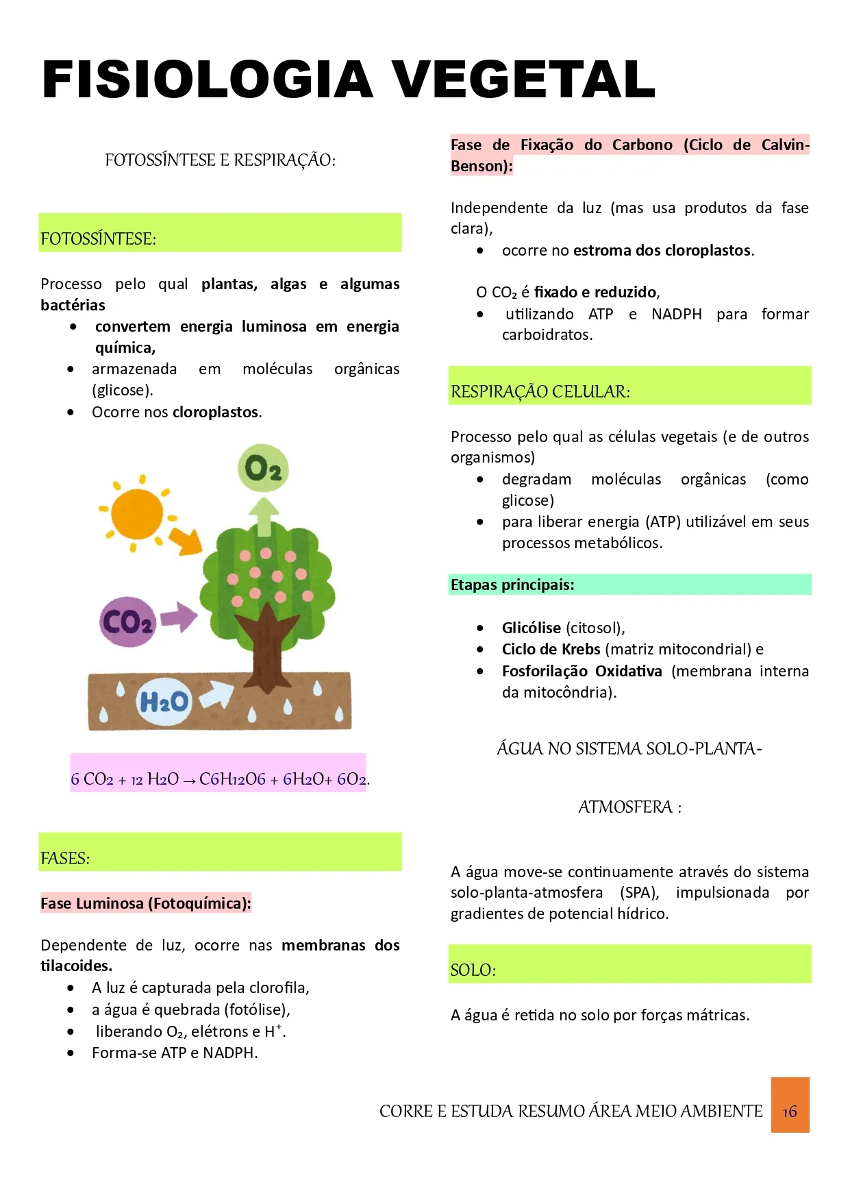 Amostra 5