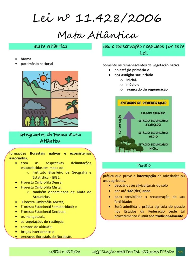 Legislação Ambiental Esquematizada - CORRE E ESTUDA-101_page-0001