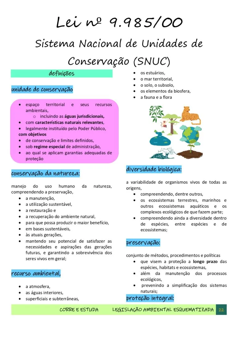 Legislação Ambiental Esquematizada - CORRE E ESTUDA-22_page-0001