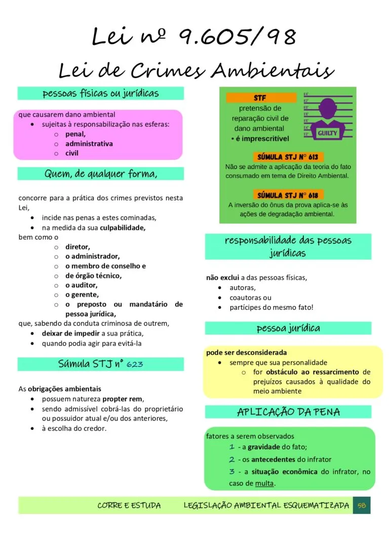 Legislação Ambiental Esquematizada - CORRE E ESTUDA-58_page-0001