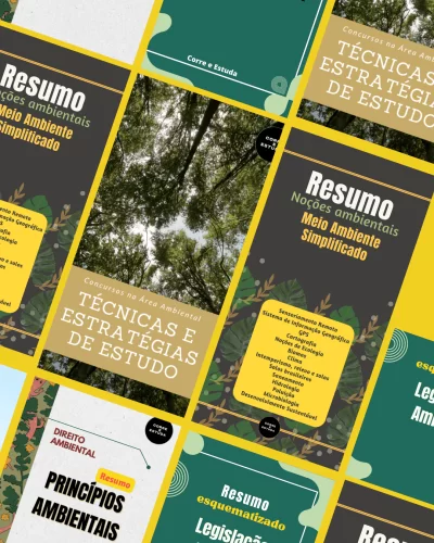 Stories mockup layout fotos simples (1)
